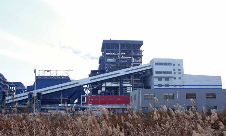 遼寧遼河熱電廠主體框架及硫煤廊